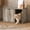 French Oak Grey, variant on HOMLUX Cat Litter Box Enclosure, Hidden Pet House Furniture, Multifunctional End Table for Cats, Storage for Litter Accessories, 40 lbs Capacity, Black