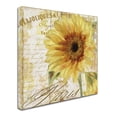 thumbnail image 2 of Trademark Fine Art 'Ete II' Canvas Art by Color Bakery, 2 of 3