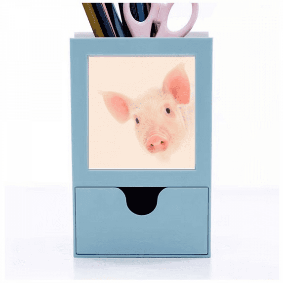 Observation Pig Ears Eyes Desk Supplies Organizer Pen Holder Card