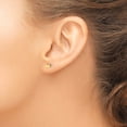 thumbnail image 3 of Finest Gold 14K Yellow Gold Connecticut State Earrings, 3 of 4