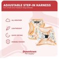 thumbnail image 3 of GFDYREE Step in Dog Harness for Small Dogs No Pull, Small, Pineapple - Adjustable Harness with Padded Mesh Fabric and Reflective Trim - Buckle Strap Harness for Dogs, 3 of 7