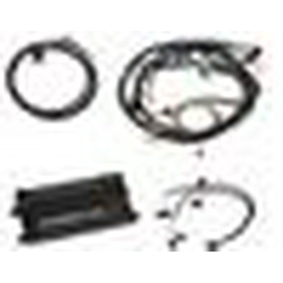 Dominator EFI Kit - LS2 Main Harness with EV1 Injector Harness