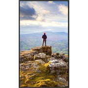 Sharp PN-E659 65 4K UHD Professional Display