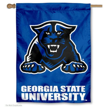 Gsu stock options