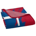thumbnail image 4 of The Northwest Group  Philadelphia Phillies 46" x 60" Dimensional Micro Raschel Plush Throw Blanket, 4 of 5