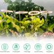 thumbnail image 3 of Crecimiento De Plantas 20 Led Luz De Crecimiento Lámpara De Anillo Usb De Espectro Completo Para Plantas De Interior Suculentas Semillas Inicio Luces De Cultivo De Flores Para El Hogar, 3 of 6