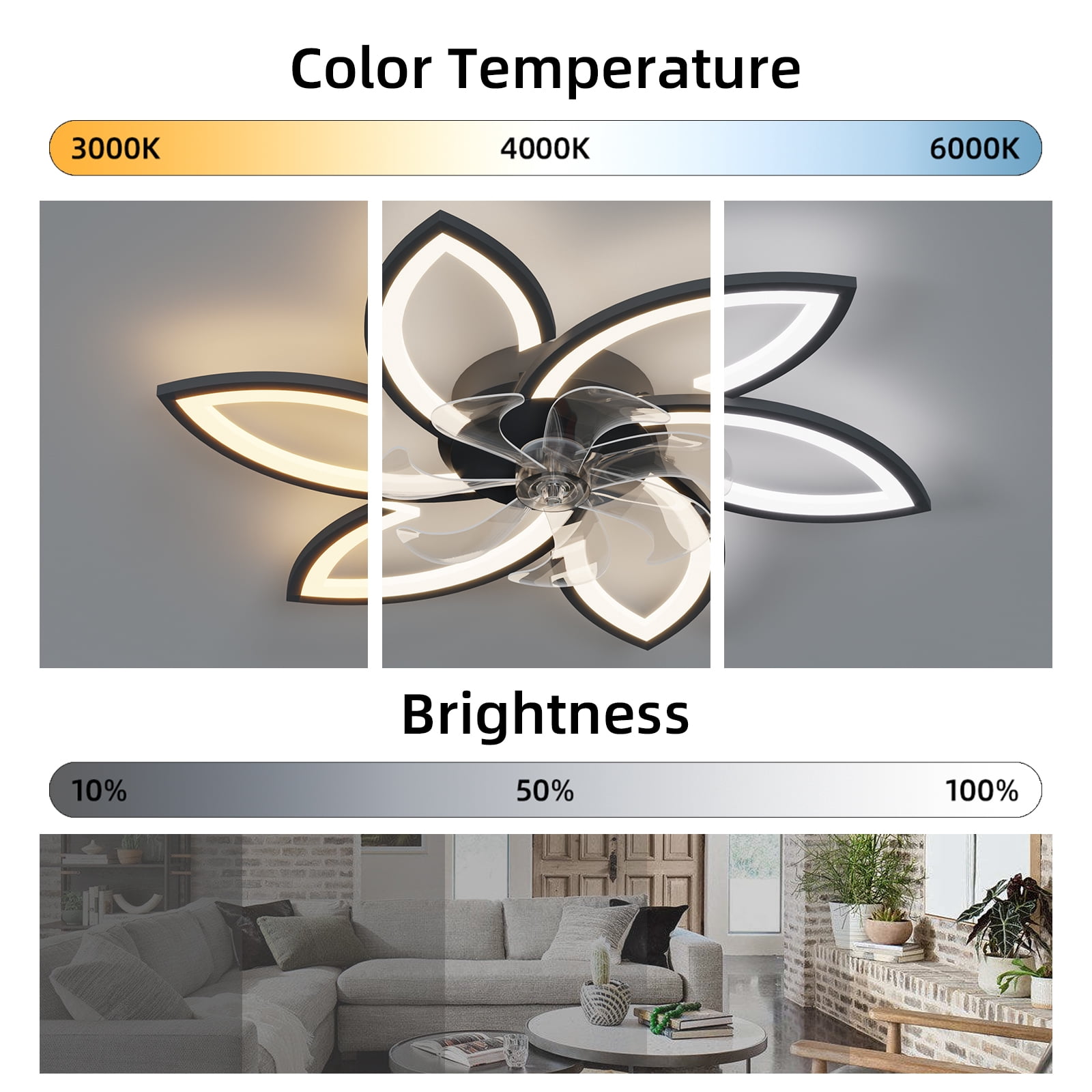 Eowynic 31-Inch Modern Led Ceiling Fans with Lights, APP & Remote Control, DC Motor, 6 Speed, Black