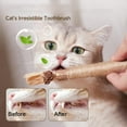 thumbnail image 2 of Nylatails Silvervine Dental Stick - Silvervine Sticks for Cats, Nylatails Cat Chew Stick Nylatails Natural Silvervine Dental Sticks, Natural Catnip Toys Sticks Chew Toys for Teeth Cleaning, 2 of 8