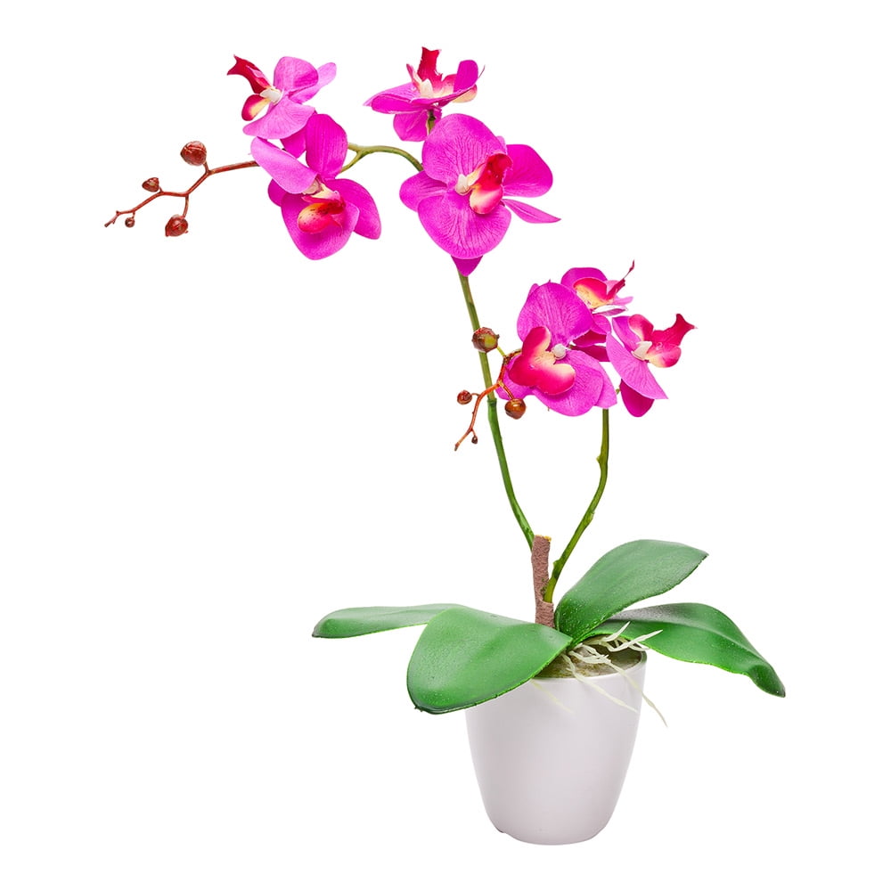 Fiore Round Magenta Plastic Moth Orchid in Plastic Pot 8 Blooms 4
