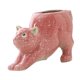 thumbnail image 2 of Maceta con estatua de gato Shamjiam 17 cm x 10,2 cm x 10,5 cm, 2 of 8