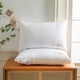 thumbnail image 1 of Plantillas de almohada de hotel - Almohada de poliéster suave y cómoda, 30,7x18,89 pulgadas, soporte medio para adultos, blanco y gris, 1 of 6