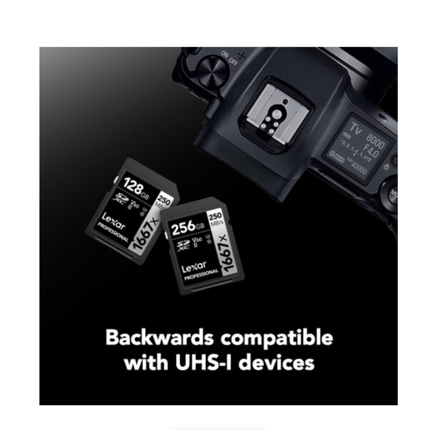 Lexar Professional 1667x UHS-II SDXC Memory Card - 256GB (2-Pack)