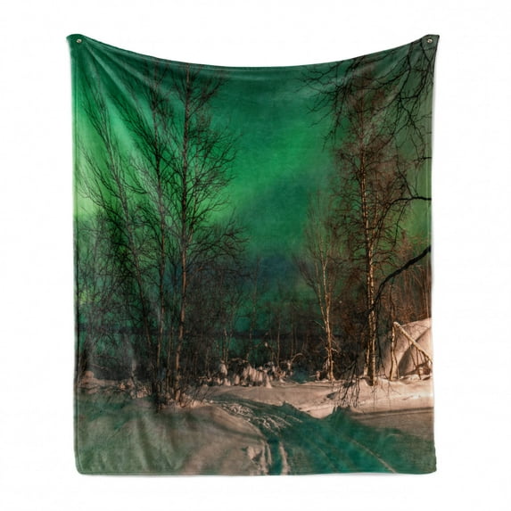 Aurora Borealis Soft Flannel Fleece Throw Blanket, Snowy Frozen Road Path Between Leafless Trees Finland Park, Cozy Plush for Indoor and Outdoor Use, 70" x 90", Jade Green Brown White, by Ambesonne