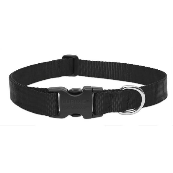 1in Black 25-3l XL Adj Dog Collar