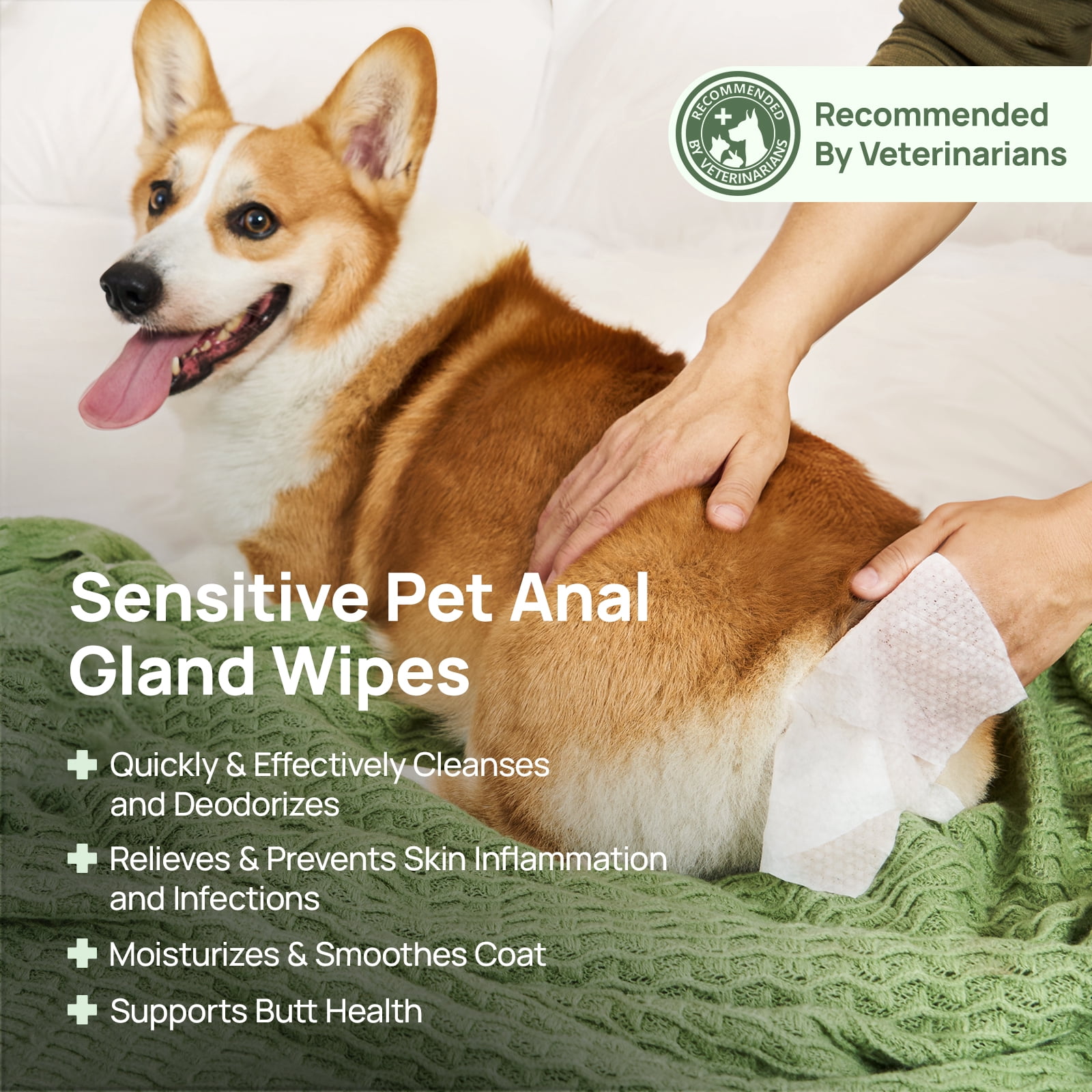 HICC Pet Sensitive Anal Gland Wipes for Dogs and Cats - 100 Count