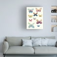 thumbnail image 2 of Trademark Fine Art 'Butterfly Charts I' Canvas Art by Courtney Prahl, 2 of 4