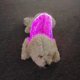 thumbnail image 5 of Xihbxyly Ofertas Por Tiempo Limitado Ropa Luminosa para Perros y Ropa Luminosa Colorida para Perros, 5 of 7