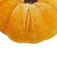thumbnail image 3 of Txlixc Mini - calabazas de terciopelo, pequeñas calabazas artificiales para decoraciones de Acción de gracias Txlixc  moda, 3 of 9
