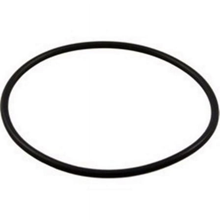 Pentair 192320 O-Ring Bulkhead Replacement Pool and Spa Filter