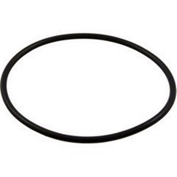 Pentair 192320 O-Ring Bulkhead Replacement Pool and Spa Filter