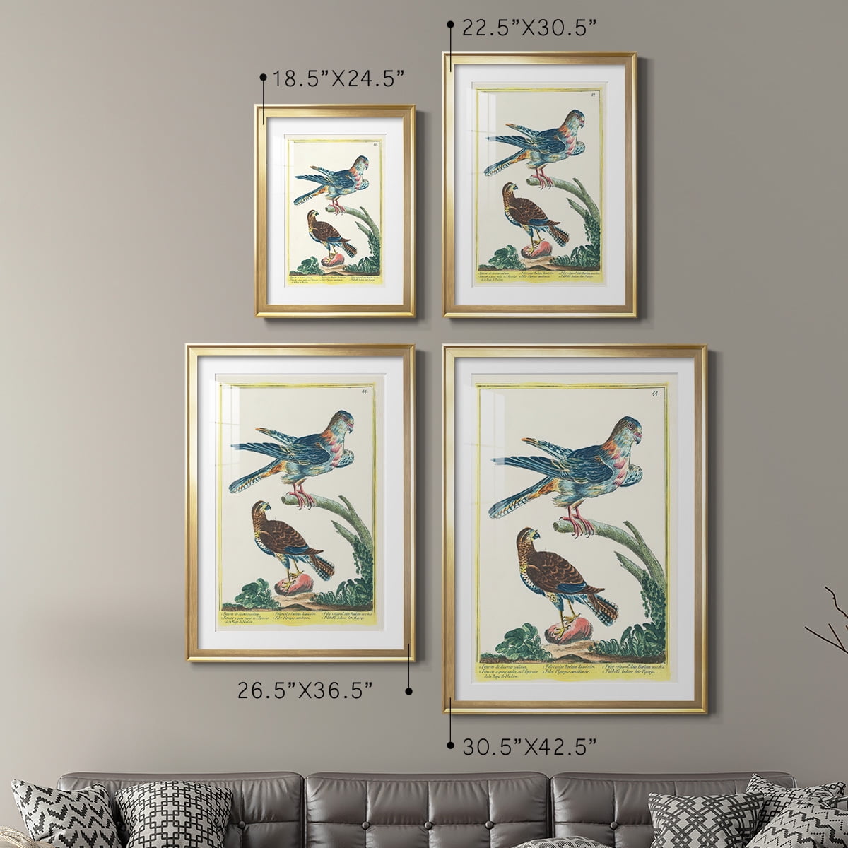 Wexford Home Pastel Birds V Premium Framed Print, 22.5" x 30.5" - Ready to Hang, Gold (Set of 2)