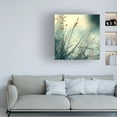 thumbnail image 2 of Trademark Fine Art "About Hope" Canvas Art by Beata Czyzowska Young, 2 of 4