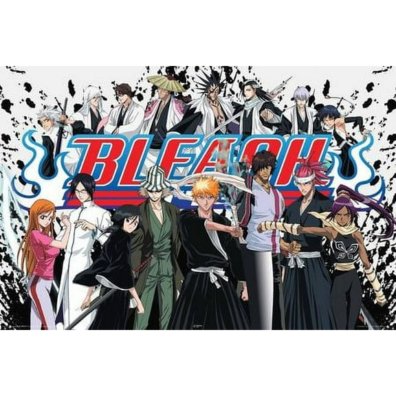 Bleach Anime Laminated Poster Print (36 x 24)