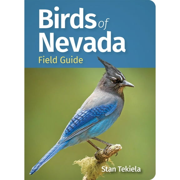 Bird Identification Guides Birds of Nevada Field Guide, (Paperback)