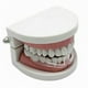thumbnail image 3 of Dental Night Guard for Teeth Grinding and Bruxism Protection During Sleep, 3 of 4