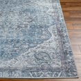 thumbnail image 5 of Mark&Day Washable Area Rugs, 2x3 Waterville Traditional Blue Area Rug (2' x 2'11"), 5 of 6