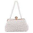 thumbnail image 2 of Bolsa Bolso de embrague de perlas Bolso de noche con cuentas de cristal hecho a mano Bolso de boda (Blanco) Tmvgtek Para estrenar, 2 of 9
