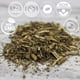 thumbnail image 3 of Hierba de ajenjo pura de Tea Cure, 114 g, orgánica, sin OGM, 3 of 8