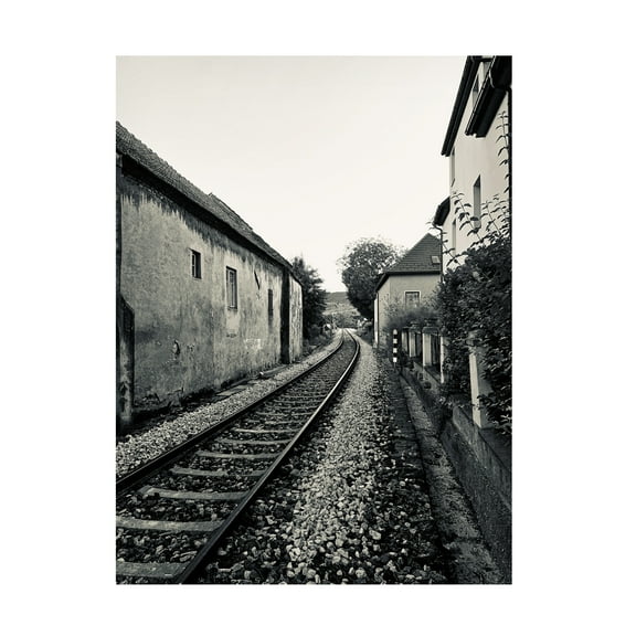 Susan Vizvary Photography 'Train Tracks in Black and White' Canvas Art