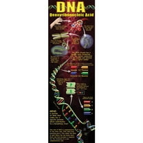 FIVE-CLOSER TO ME -CDS-