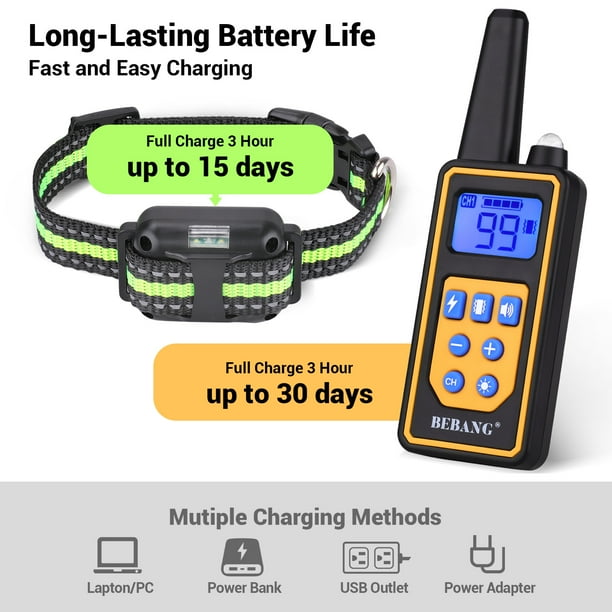 Dog shock collar walmart canada outlet