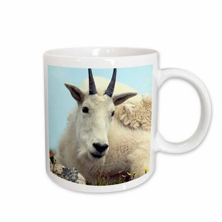 

3dRose Alpine Goat Ceramic Mug 15-ounce