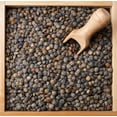 thumbnail image 3 of Hunza Organic French Lentils - 2 lbs / 32 Ounces / Grown in Canada, 3 of 9