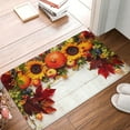 thumbnail image 4 of Goofa 16"x24" Inches Thanksgiving With Autumn Doormats for Outdoor Entrance - Non-Slip Welcome Mat, Heavy Duty Door Mats Outdoor, Spring Doormat, 4 of 9