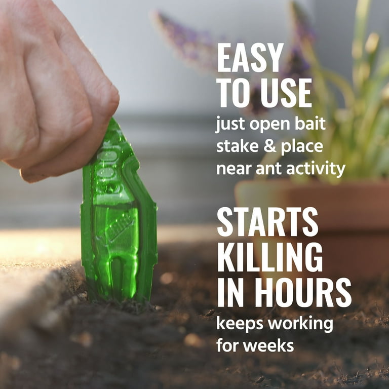 teat ロットン　オリカラ Terro Outdoor Liquid Ant Bait Stakes, 8ct - Household Ant Traps