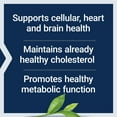 thumbnail image 4 of Life Extension Lightly Caffeinated Mega Green Tea Extract, 98% EGCG Polyphenols - Supports Cell, Heart & Brain Health - Gluten-Free, Non-GMO - 100 Vegetarian Capsules, 4 of 9