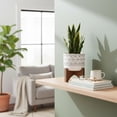 thumbnail image 4 of Flora Bunda Large 12" Realistic Looking Artificial Snake Plant in Geo Paint Ceramic Pot with Wooden Stand for Outdoor Indoor Home or Office D√©cor Artificial Plant, Fake Plant, 4 of 5
