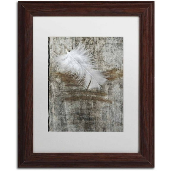 Trademark Fine Art 'White Feather on Wood' Canvas Art by Cora Niele, White Matte, Wood Frame