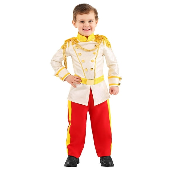 Prince Charming Costume Men