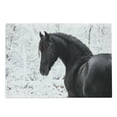 thumbnail image 1 of Animal Cutting Board, Friesian Sport Horse Portrait on a Snowy Winter Background Novelty Picture Print, Decorative Tempered Glass Cutting and Serving Board, Large Size, White Brown, by Ambesonne, 1 of 1