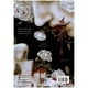 thumbnail image 2 of No Dejes Entrar Al Bosque VR Editoras Libro de bolsillo 1ra edicion, 2 of 2