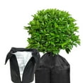 thumbnail image 5 of Oxford Fabric Plant Insulation Wrap Effective Plant Protect Wrap Plant Covers For Home And Garden Enthusiasts, 5 of 8