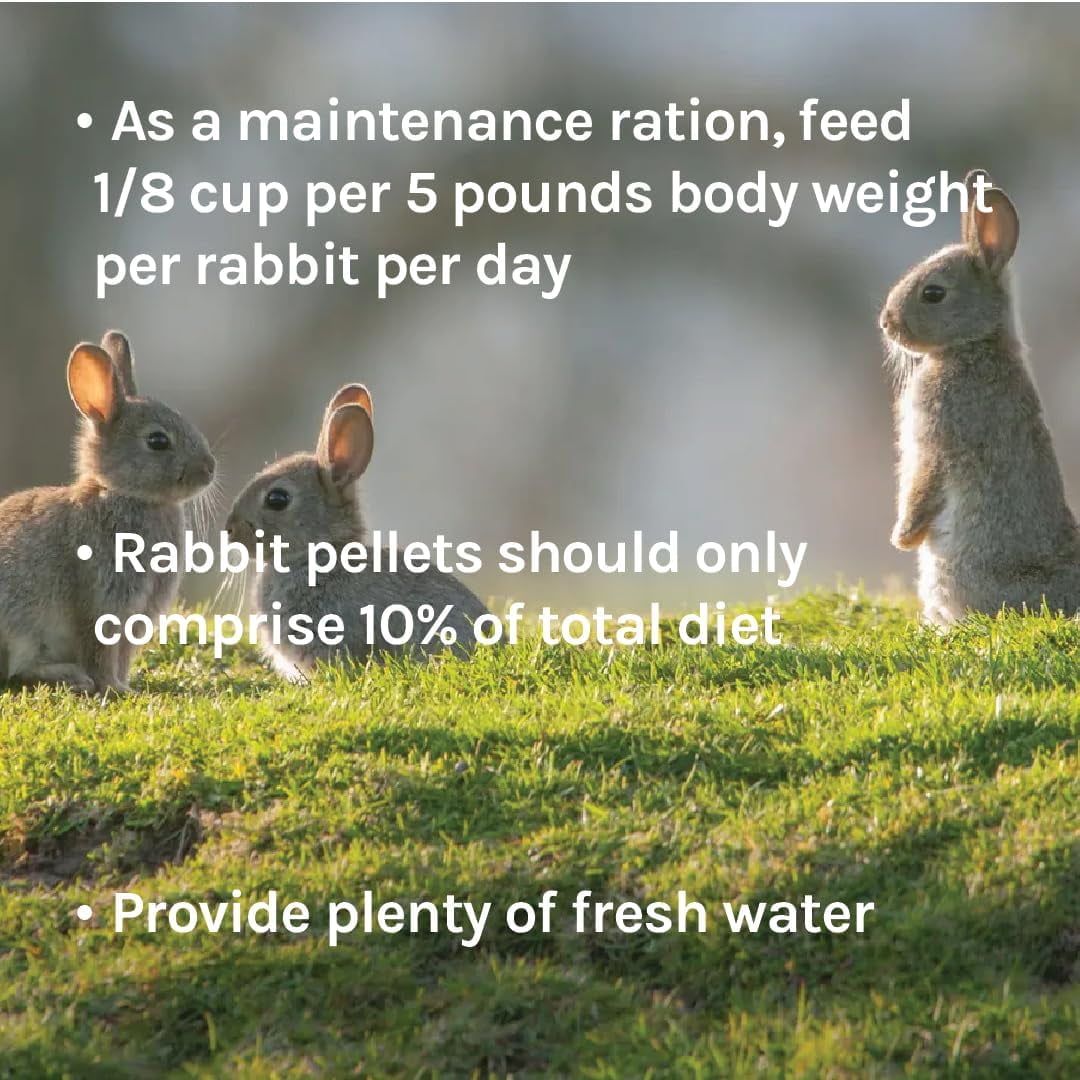 New Country Organics Rabbit Food Pellets | Essential Bunny Supplies | Corn-Free and Soy-Free | 15% Protein Rabbit Feed for Healthy Hoppers | Certified Organic and Non-GMO | 40 lbs