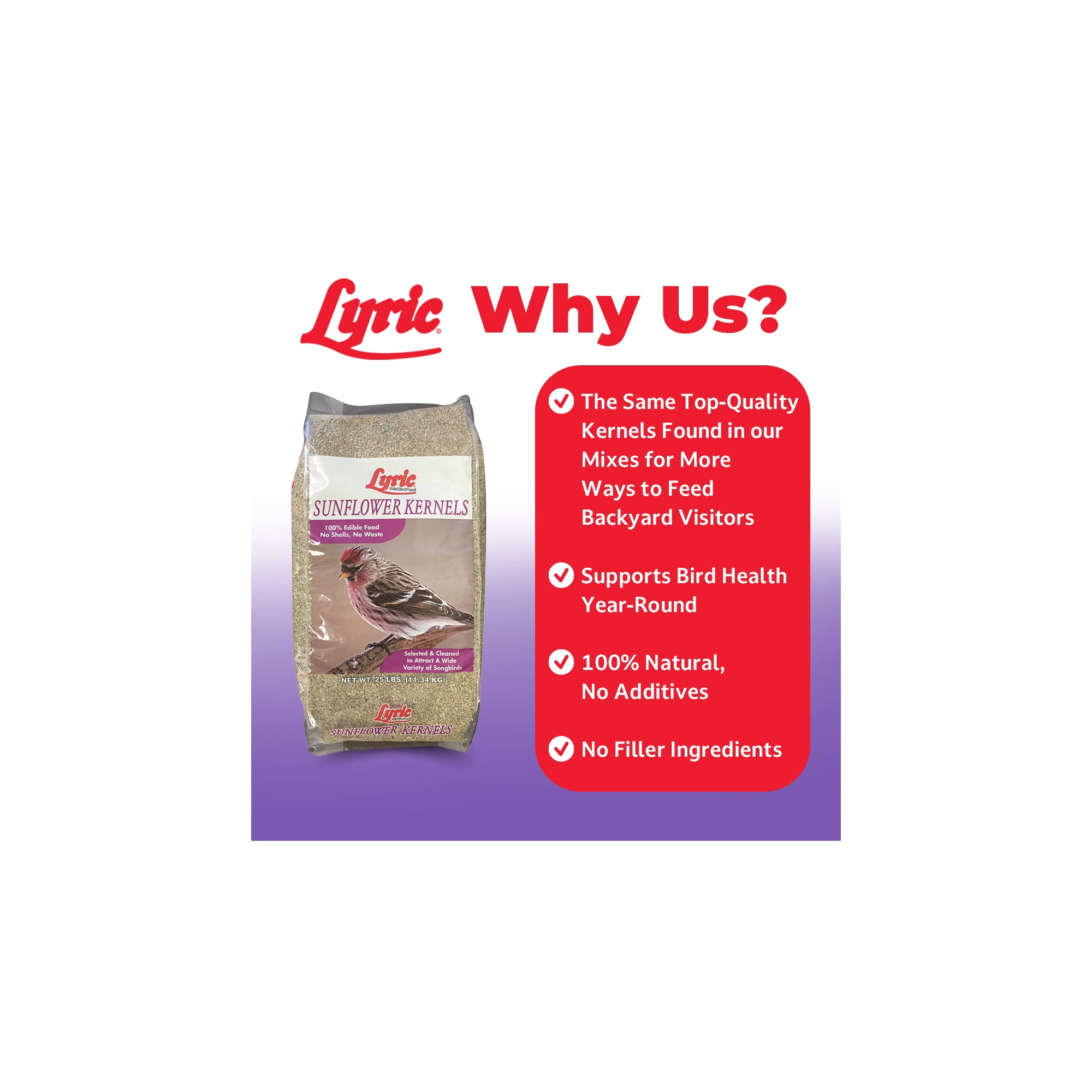 Lyric Sunflower Kernels Wild Bird Seed - No Waste Bird Food - 5 lb. Bag