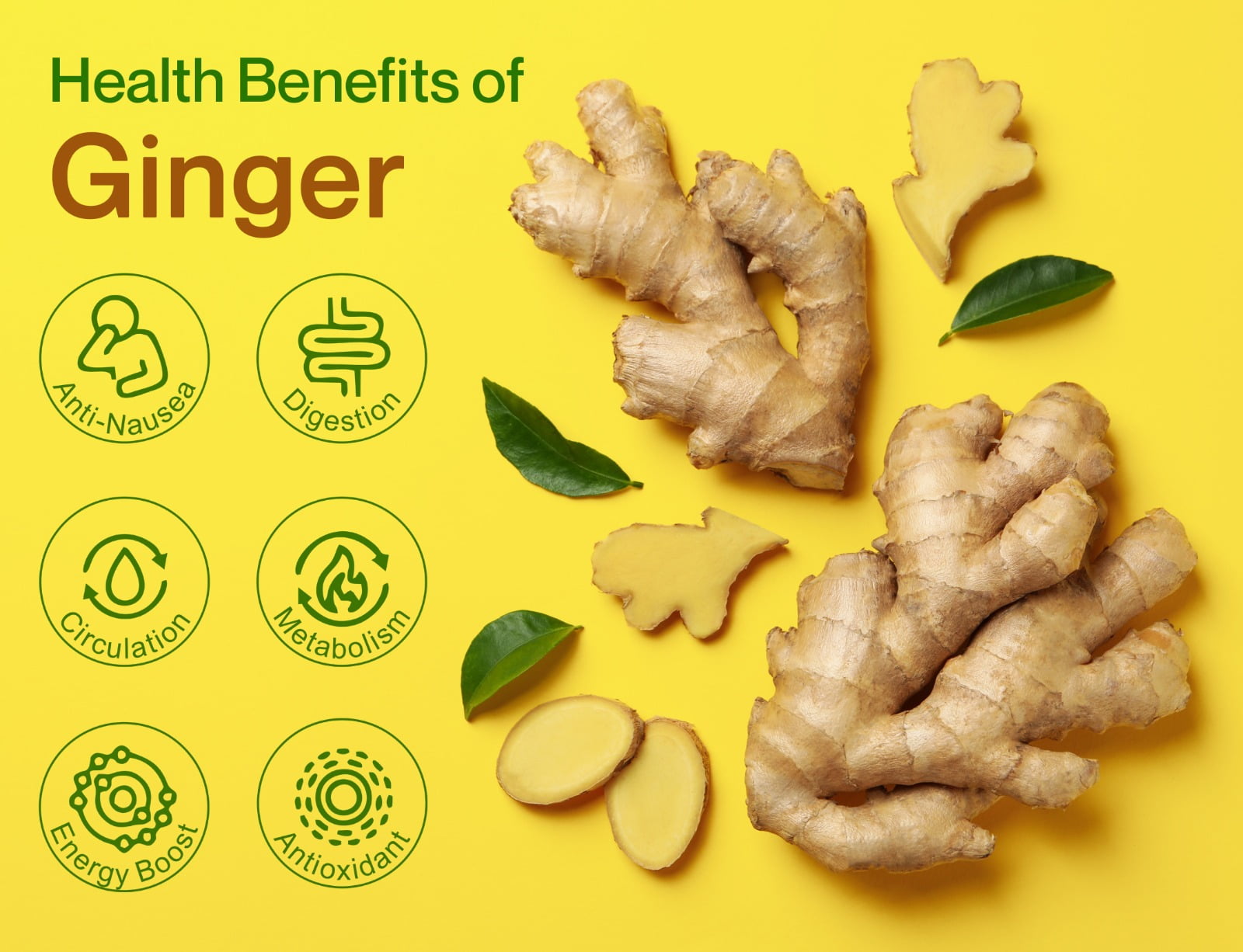 Fresh USDA Organic Ginger Root – Zesty, Potent & Pure – Natural Superfood for Health