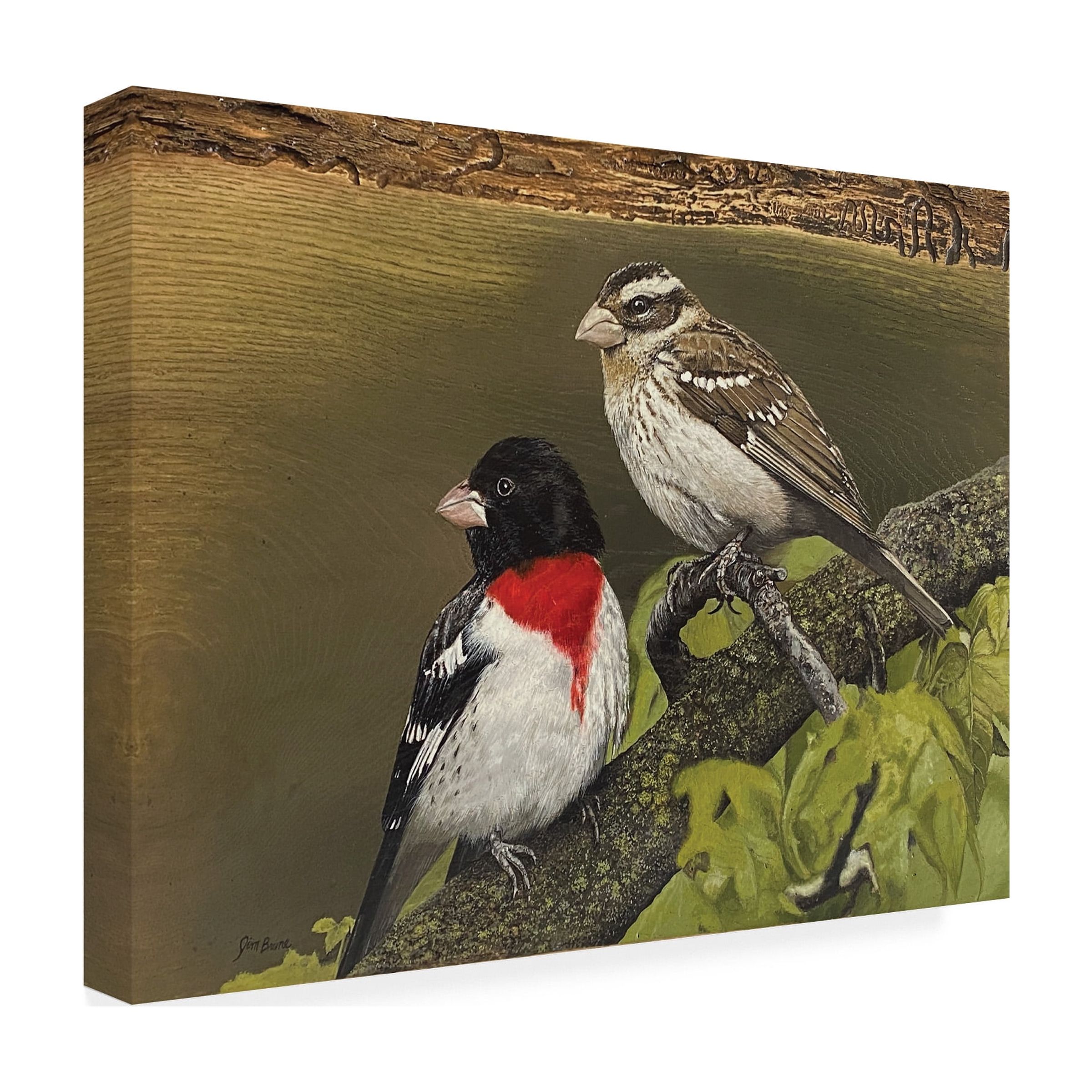 Canvas Wall Art - Jim Brune 'Rose Breasted Grosbeak Pair' Wall Art for Living Room, Bedroom, or Office DÃ©cor by Trademark Fine Art - 47 x 35 Inches